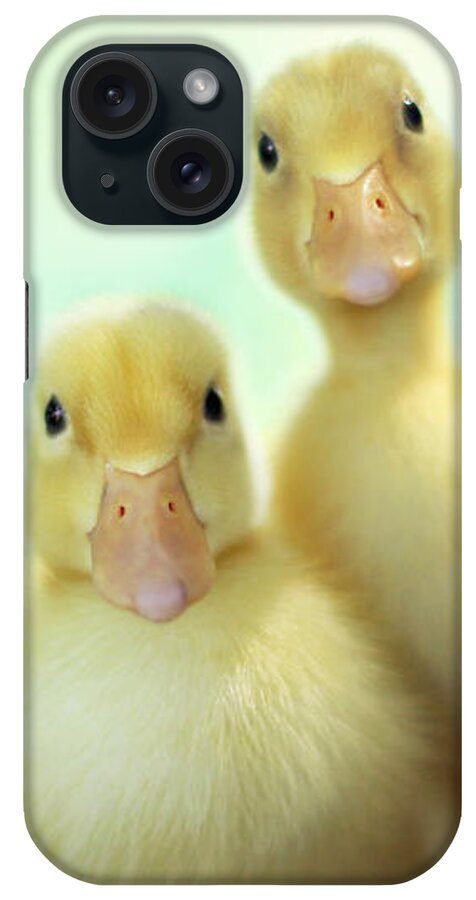Ducks iPhone Case featuring the photograph Edgar Loves Sally by Amy Tyler