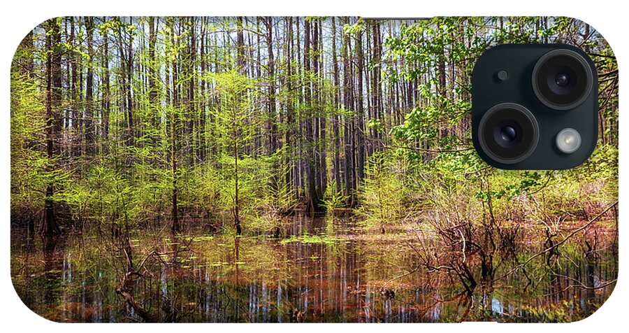 Heron Pond iPhone Case featuring the photograph Edge of the Swamp 2 by Susan Rissi Tregoning