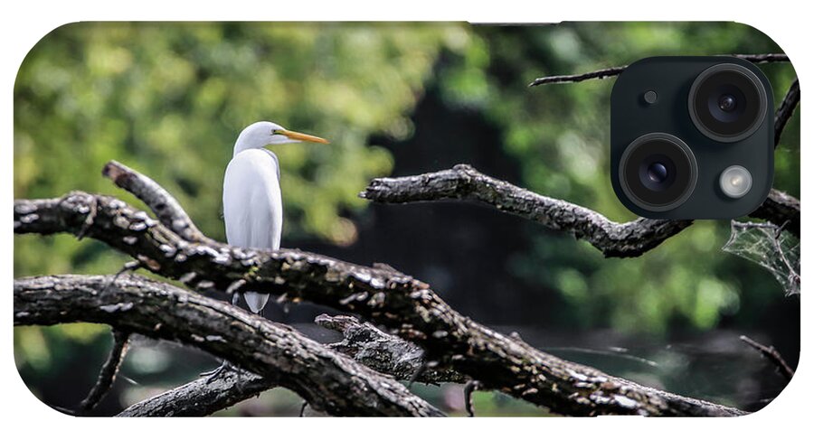 Egret iPhone Case featuring the photograph Egret Able by Ray Congrove