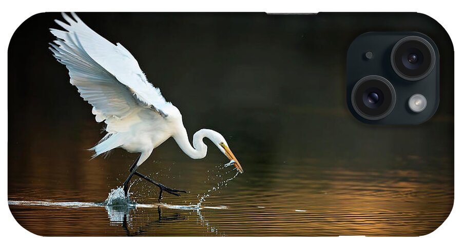 Egret iPhone Case featuring the photograph Egret at Sunset by Eilish Palmer