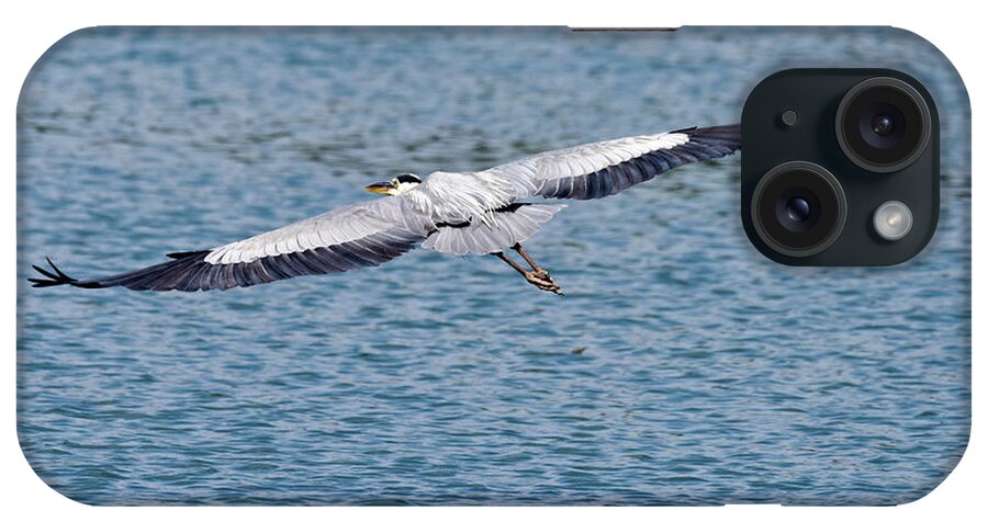 Egret iPhone Case featuring the photograph Great Blue Heron in flight by Paul Quinn