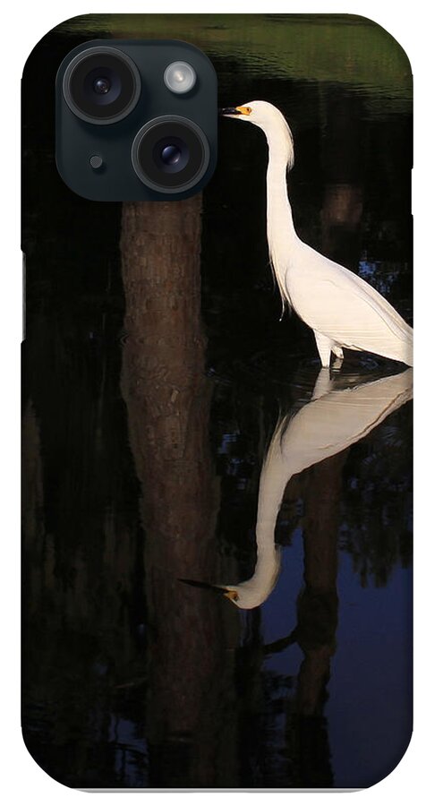 Egret iPhone Case featuring the photograph Egret Mirror by Farol Tomson