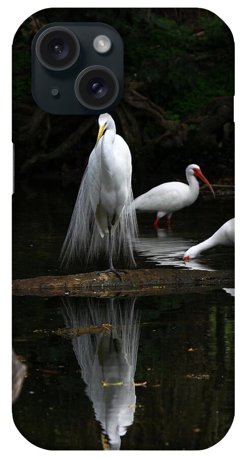 Great White Egret iPhone Case featuring the photograph Egret Reflection by Barbara Bowen
