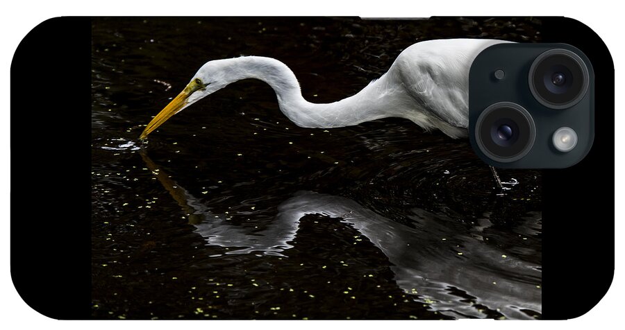 Great Egret iPhone Case featuring the photograph Egret searching for food by Alicia BRYANT