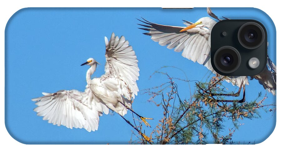 Snowy iPhone Case featuring the photograph Egrets 4460-090314-2cr GWR by Tam Ryan