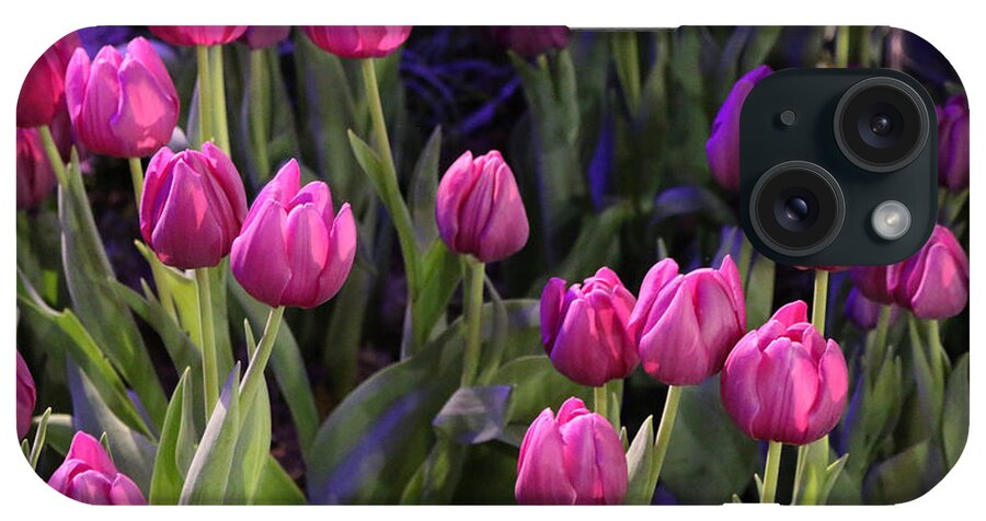 Tulips iPhone Case featuring the photograph Electrifying by Living Color Photography Lorraine Lynch
