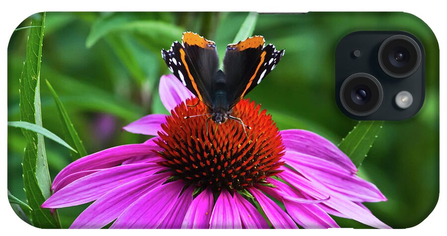 Flower iPhone Case featuring the photograph Elegant Butterfly by Ms Judi