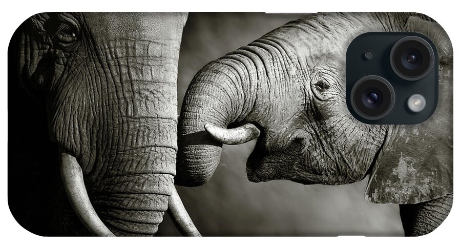 Elephant; Interact; Touch; Gently; Trunk; Young; Large; Small; Big; Tusk; Together; Togetherness; Passionate; Affectionate; Behavior; Art; Artistic; Black; White; B&w; Monochrome; Image; African; Animal; Wildlife; Wild; Mammal; Animal; Two; Moody; Outdoor; Nature; Africa; Nobody; Photograph; Addo; National; Park; Loxodonta; Africana; Muddy; Caring; Passion; Affection; Show; Display; Reach iPhone Case featuring the photograph Elephant affection by Johan Swanepoel
