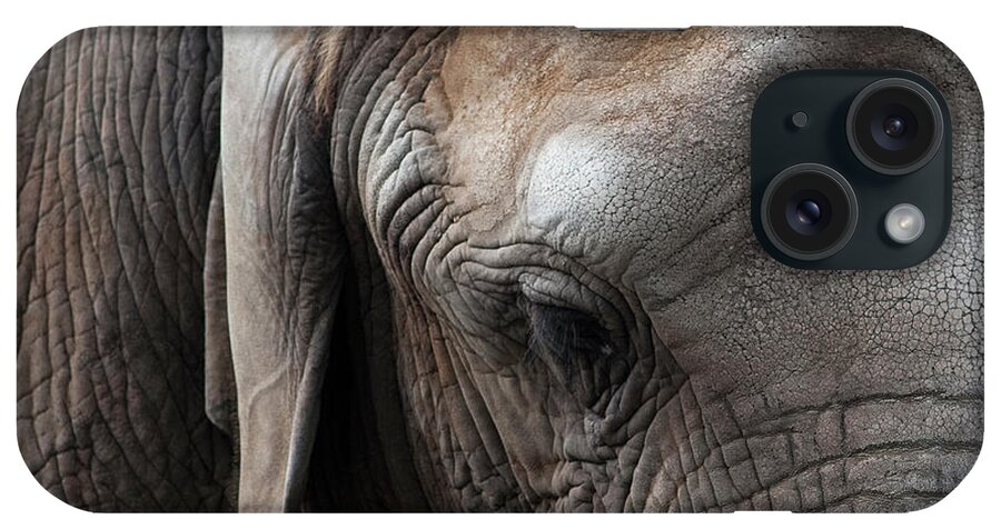 Elephant iPhone Case featuring the photograph Elephant Eye by Lorraine Devon Wilke