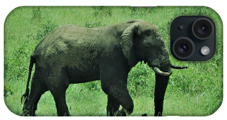 Elephant iPhone Case featuring the photograph Elephant Walks by Vijay Sharon Govender