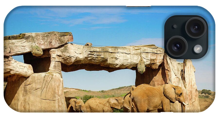 Elephants iPhone Case featuring the photograph Elephants by Alison Frank
