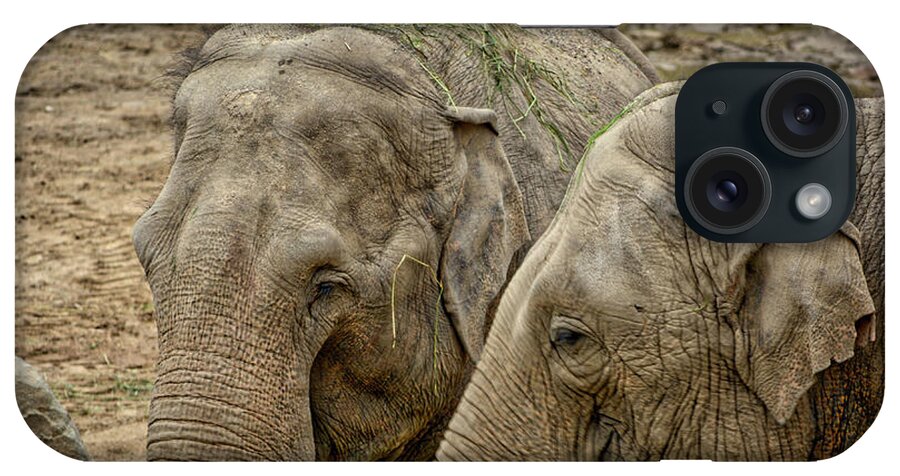 Wildlife iPhone Case featuring the photograph Elephants by Ingrid Dendievel