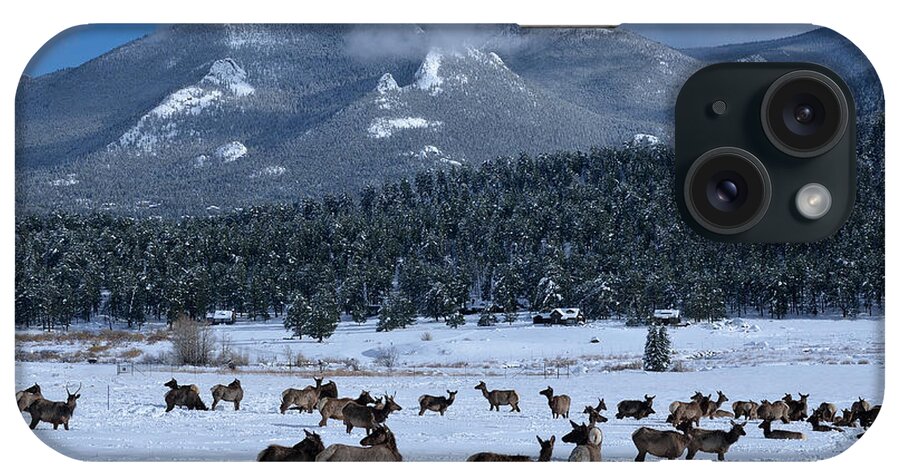 Moraine iPhone Case featuring the photograph Elk In The Snow by Tranquil Light Photography