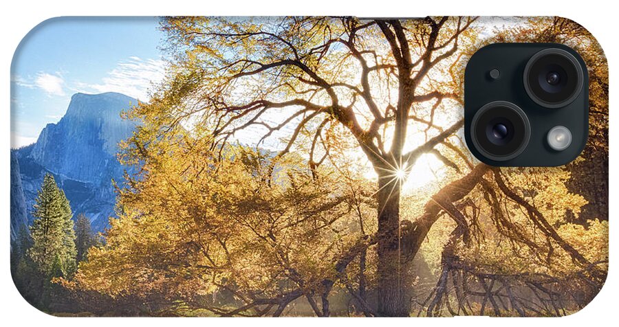 A Captured Moment Of Yosemite's Cooks Meadow In Autumn. iPhone Case featuring the photograph Elm Tree Cooks Meadow by Anthony Michael Bonafede