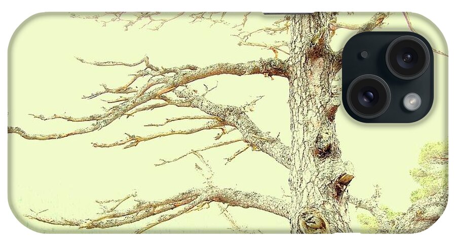 Tree iPhone Case featuring the photograph Embrace by HweeYen Ong