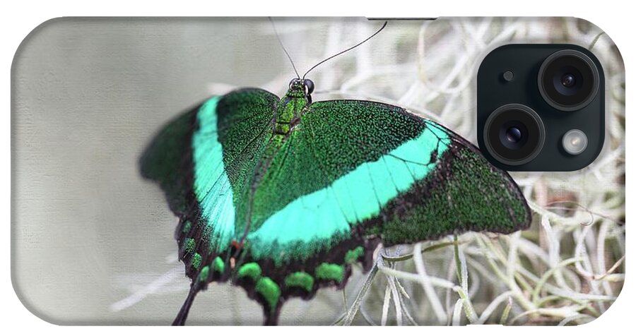 Emerald Swallowtail iPhone Case featuring the photograph Emerald Swallowtail by Eva Lechner