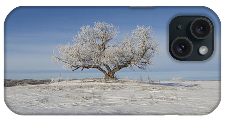Eminija iPhone Case featuring the photograph Eminija Tree with Hoarfrost by Aaron J Groen
