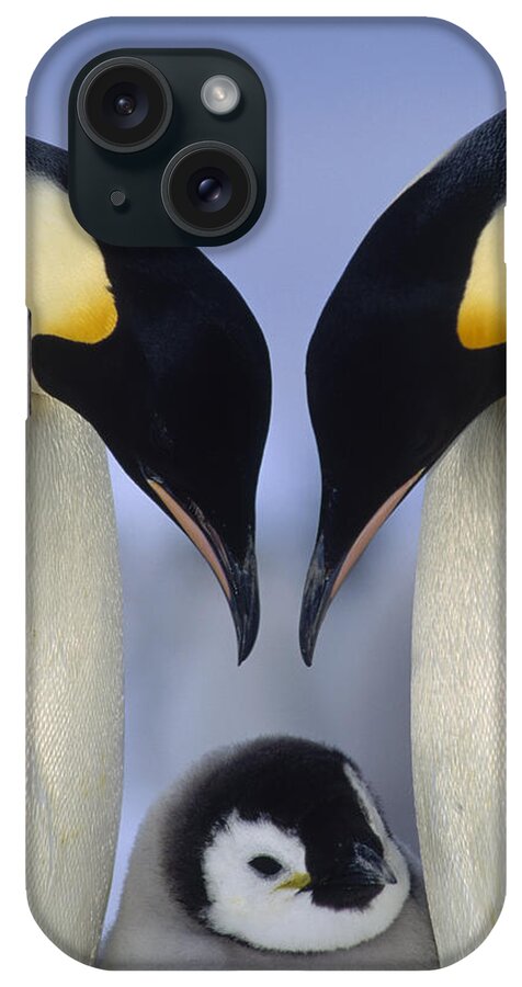 00140140 iPhone Case featuring the photograph Emperor Penguin Family by Tui De Roy