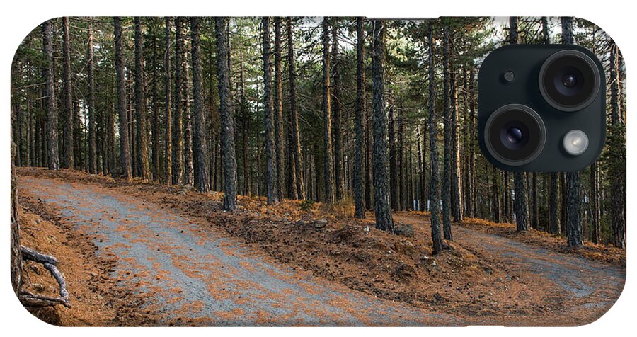 Forest Landscape iPhone Case featuring the photograph Empty road passing through the forest in Autumn by Michalakis Ppalis