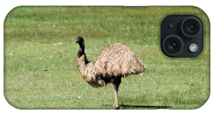 Emu iPhone Case featuring the photograph Emu by Jeff Swan