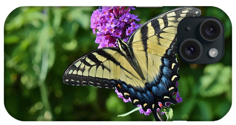 Tiger Swallowtail Butterfly iPhone Case featuring the photograph End of July Afternoon Snack by Janis Senungetuk
