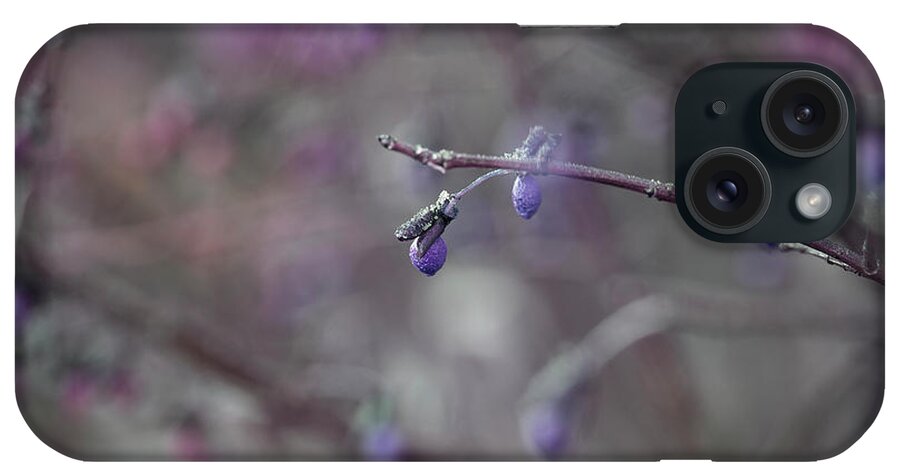 Tree Branch iPhone Case featuring the photograph End Product by Mike Eingle
