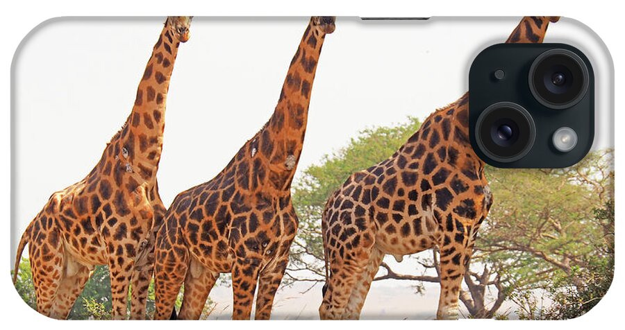 Uganda iPhone Case featuring the photograph Endangered Rothchild's giraffes by Dennis Cox WorldViews