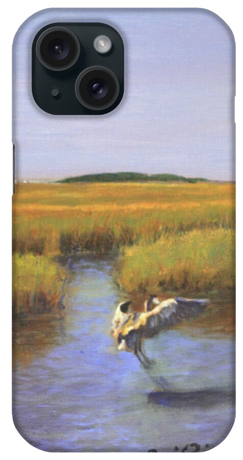 Marsh iPhone Case featuring the painting Endless Shades of Green by David Zimmerman