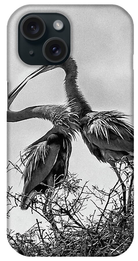 Birds iPhone Case featuring the photograph Heron Kiss 3809 by Ginger Stein
