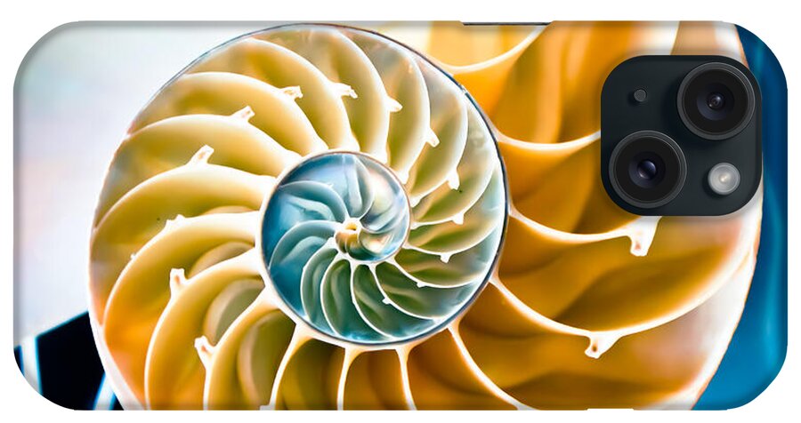 Nautilus iPhone Case featuring the photograph Eternal Golden Spiral by Colleen Kammerer