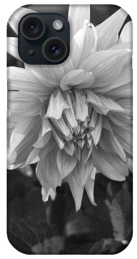 Dahlia iPhone Case featuring the photograph Eternal Light by Jeanette C Landstrom