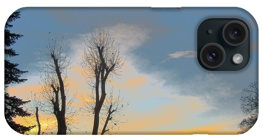 Sunset iPhone Case featuring the photograph Eve And Trees by Vesna Martinjak