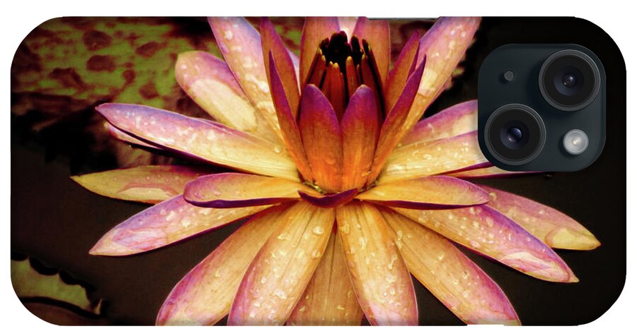Water Lily iPhone Case featuring the photograph Evening Glow Water Lily by Julie Palencia