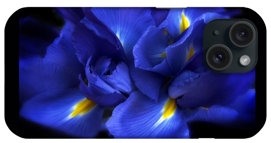 Iris iPhone Case featuring the photograph Evening Iris by Jessica Jenney