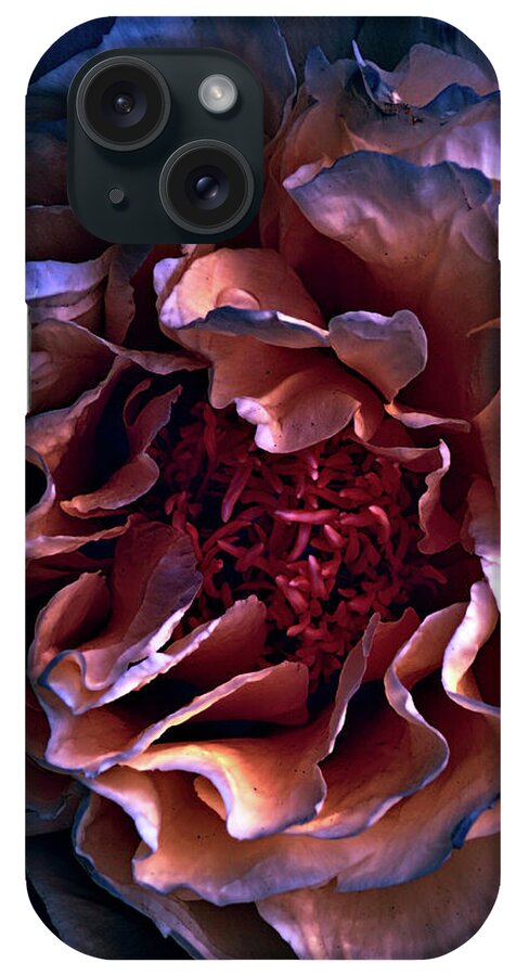 Peony iPhone Case featuring the digital art Evening Peony by Lilia S