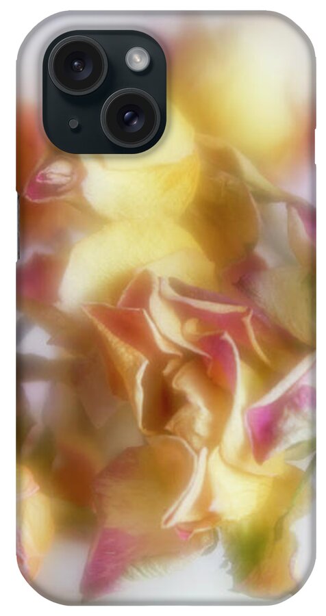 Roses iPhone Case featuring the photograph Everlasting Rose Buds by Diane Fifield