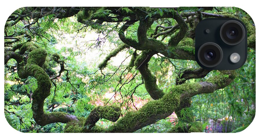 Crooked Tree iPhone Case featuring the photograph Every Which Way by Carol Groenen