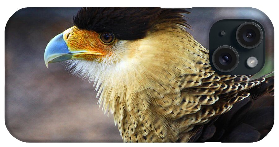 Bird iPhone Case featuring the photograph Excited Caracara by Larry Nieland