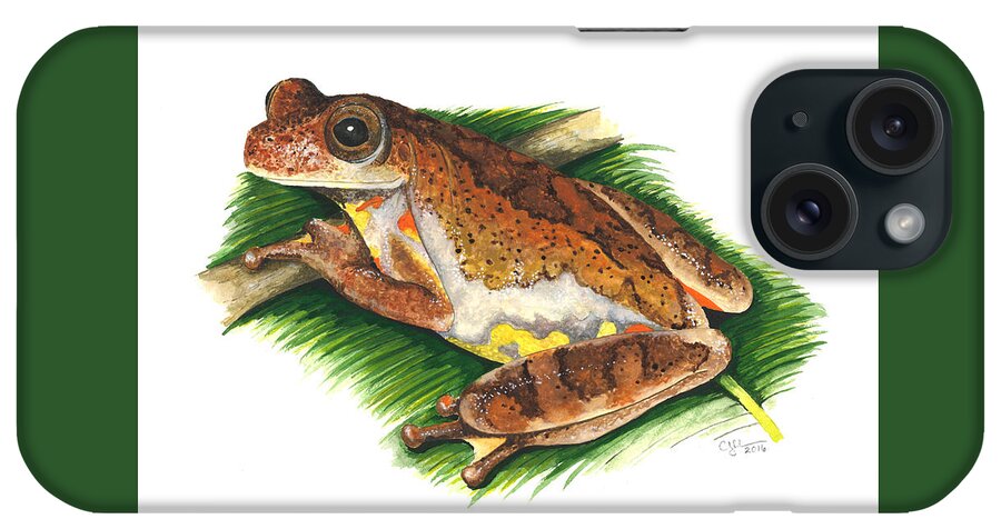 Dendropsophus Carnifex iPhone Case featuring the painting Executioner treefrog by Cindy Hitchcock