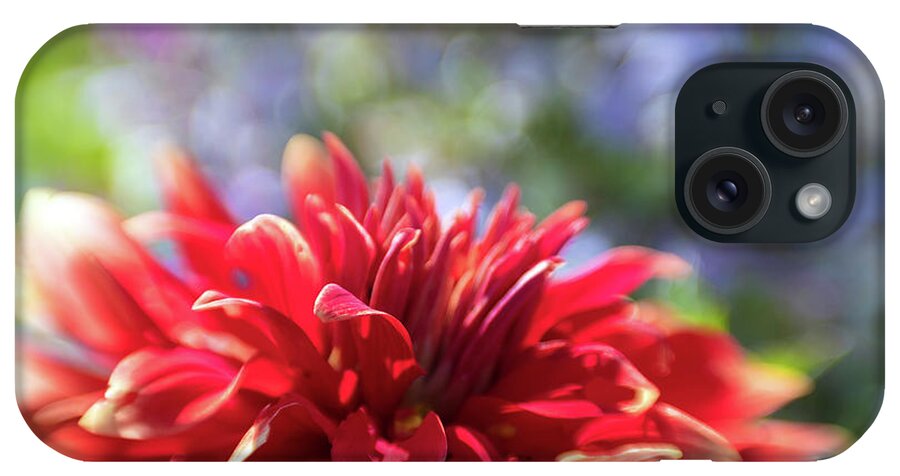 Flower Flowers Botany Nature Outside Natural Botanic Botany Botanical Garden Gardening Bokeh Explosion Colourful Colorful Colors Colours Blooming Bloom Petals Ma Mass Massachusetts Brian Hale Brianhalephoto iPhone Case featuring the photograph Exploding Flower by Brian Hale