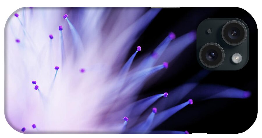 Mimosa iPhone Case featuring the photograph Explosive by Mike Eingle