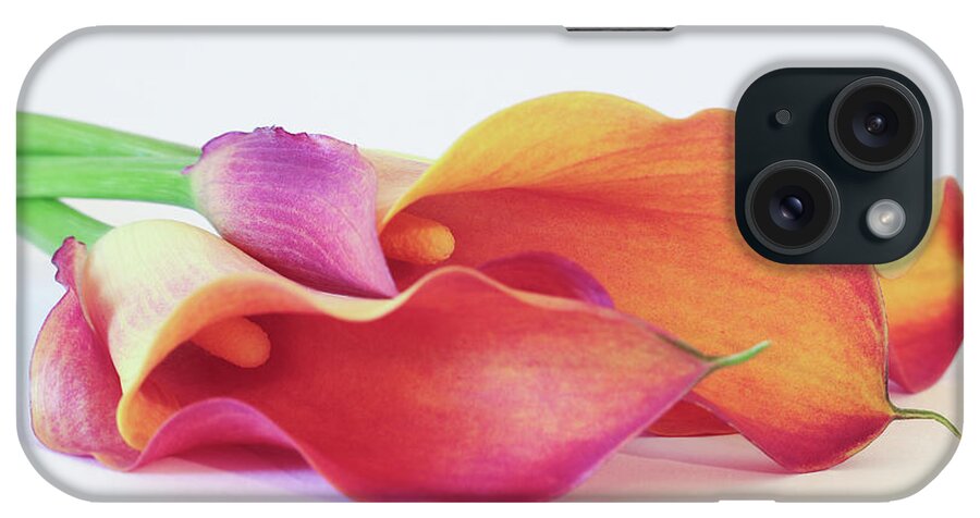 Flowers iPhone Case featuring the photograph Exquisite by Design by Anita Oakley