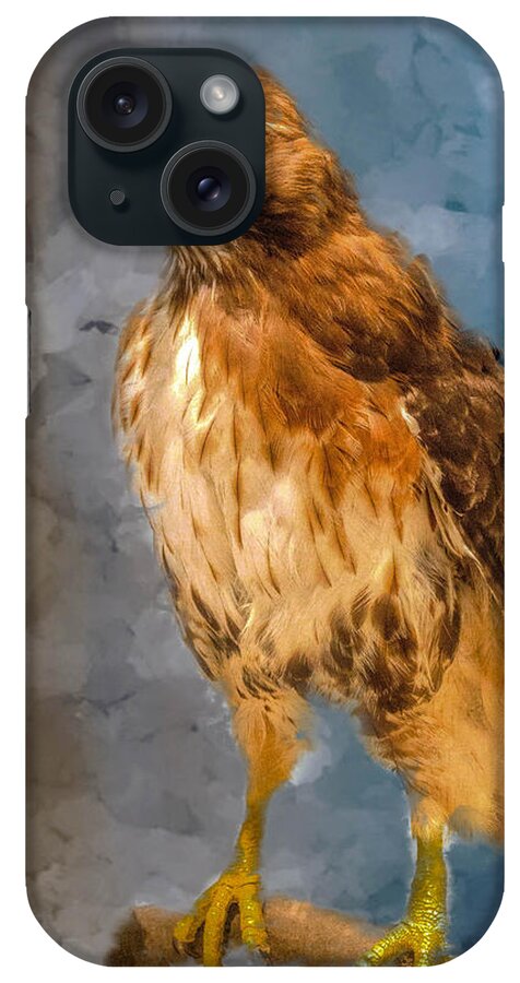 Animal iPhone Case featuring the painting Eye of the Hawk by Ches Black