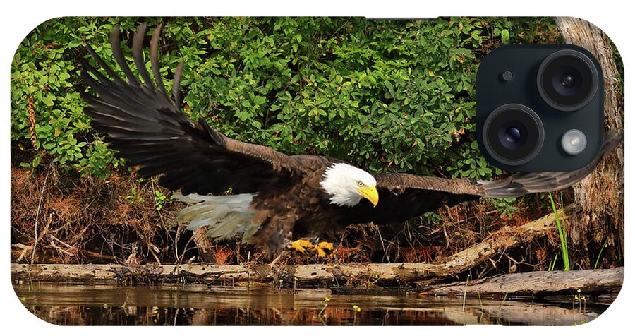 Eagle iPhone Case featuring the photograph Eye on the Fish by Duane Cross