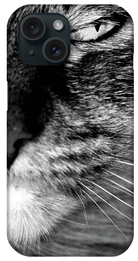 Closeup iPhone Case featuring the photograph Eye See You by Kip Krause