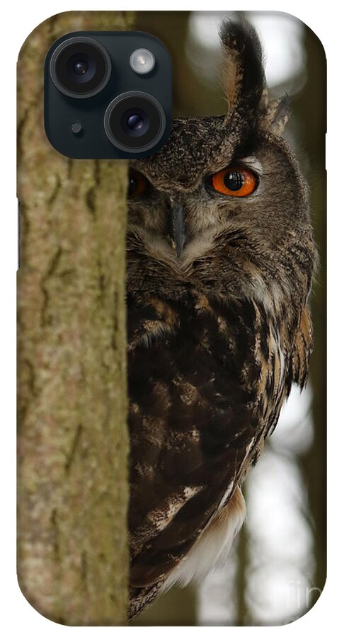 Owls iPhone Case featuring the photograph Eye Spy by Heather King