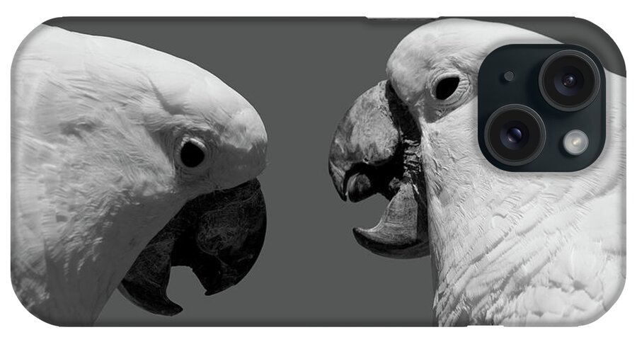 Cockatoo iPhone Case featuring the photograph Face to Face IV BW by David Gordon