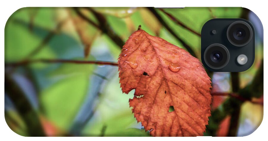 Leaf iPhone Case featuring the photograph Faces In The Leaf by Kerri Farley