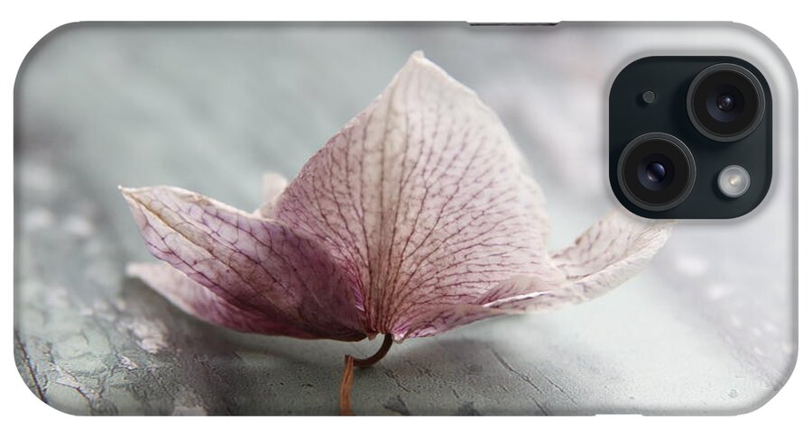 Autumn iPhone Case featuring the photograph Faded glory ... by Lynn England