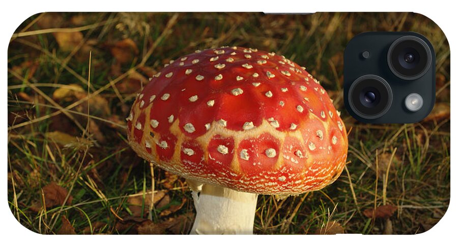 Fairy Tale iPhone Case featuring the photograph Fairy Tale Mushroom by Adrian Wale